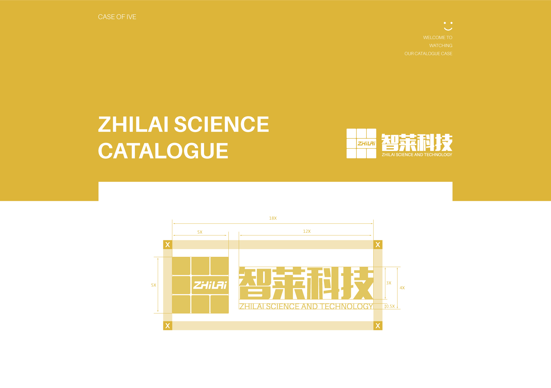 智萊科技 （視覺設(shè)計(jì)　保險(xiǎn)柜畫冊(cè)　宣傳手冊(cè)　電子畫冊(cè)）
