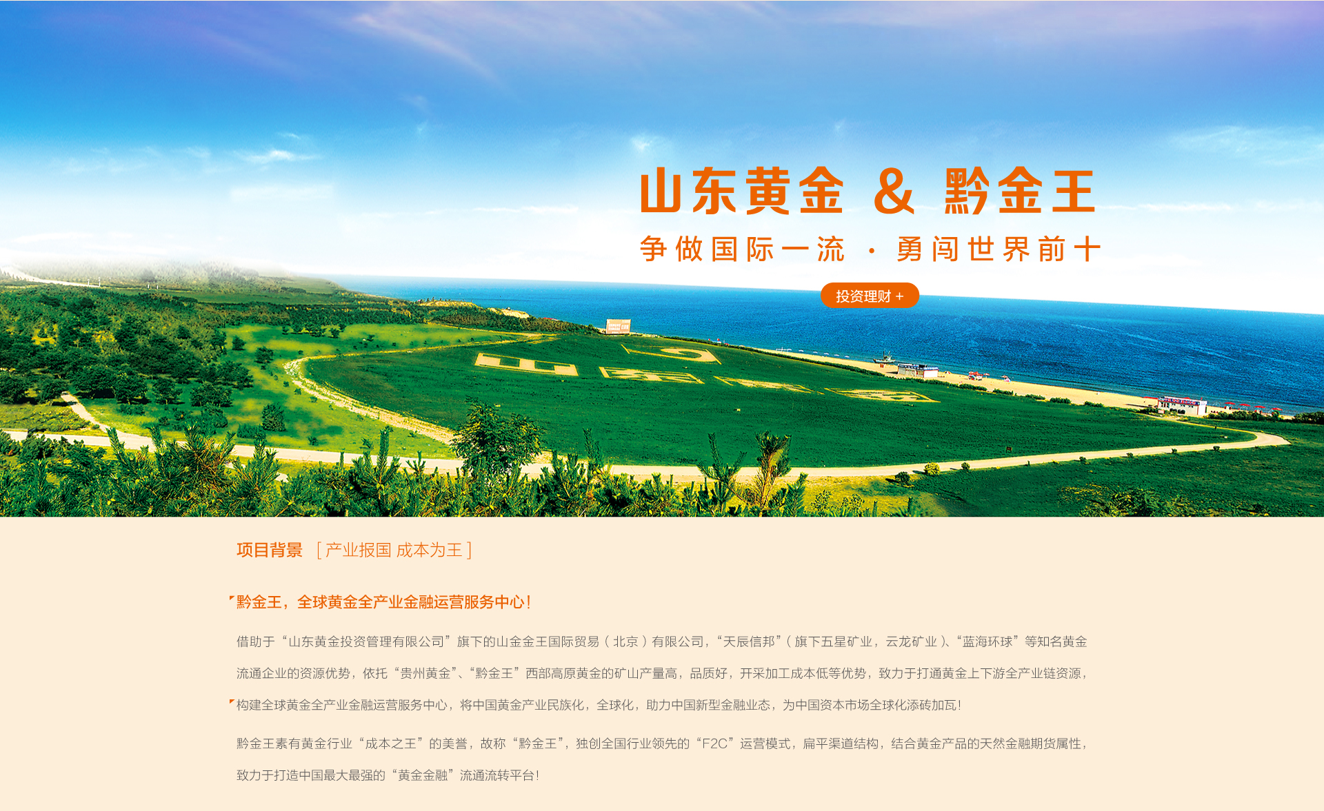 金融品牌策劃設(shè)計3